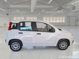 Fiat  Panda FIAT  / 2011 / 5P / BERLINA 1.2 69CV E6 EASY #7
