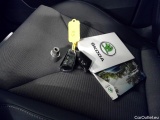  Skoda  ENYAQ  iV80 5d #11