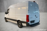 Sprinter