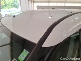  Fiat  Doblo FIAT DOBLÒ CARGO / 2014 / 5P / COMBI MAXI LH1 LOUNGE 1.6 MJET 105CV E6D-F N1 #22