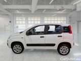  Fiat  Panda FIAT  / 2012 / 5P / BERLINA 900CC 85CV VAN EU6D 4X4 2P.POP #8