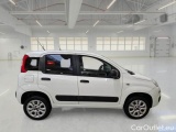  Fiat  Panda FIAT  / 2012 / 5P / BERLINA 900CC 85CV VAN EU6D 4X4 2P.POP #7