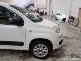 Fiat  Panda FIAT  / 2012 / 5P / BERLINA 900CC 85CV VAN EU6D 4X4 2P.POP #40