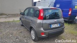  Fiat  Panda 1.0 FireFly 70cv S&S Hybrid #3