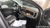  Fiat  Panda 1.0 FireFly 70cv S&S Hybrid #7
