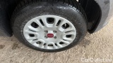  Fiat  Panda 1.0 FireFly 70cv S&S Hybrid #14