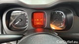  Fiat  Panda 1.0 FireFly 70cv S&S Hybrid #13