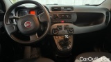  Fiat  Panda 1.0 FireFly 70cv S&S Hybrid #6
