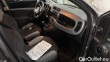 Fiat  Panda 1.0 FireFly 70cv S&S Hybrid #7