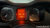  Fiat  Panda 1.0 FireFly 70cv S&S Hybrid #13