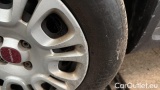  Fiat  Panda 1.0 FireFly 70cv S&S Hybrid #37