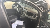  Fiat  Panda 1.0 FireFly 70cv S&S Hybrid #7