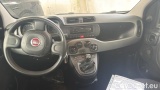  Fiat  Panda 1.0 FireFly 70cv S&S Hybrid #6