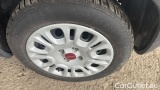 Fiat  Panda 1.0 FireFly 70cv S&S Hybrid #14