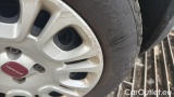  Fiat  Panda 1.0 FireFly 70cv S&S Hybrid #36