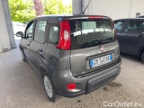  Fiat  Panda 1.0 FireFly 70cv S&S Hybrid #3