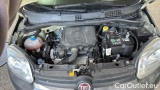  Fiat  Panda 1.0 FireFly 70cv S&S Hybrid #15