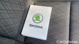  Skoda  Karoq 2.0 TDI 85KW EVO SCR Style DSG #17