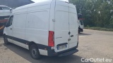 Sprinter