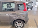  Fiat  Panda FIAT  / 2011 / 5P / BERLINA 1.0 70CV SeS HYBRID E6D-T EASY #62