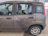 Fiat  Panda FIAT  / 2011 / 5P / BERLINA 1.0 70CV SeS HYBRID E6D-T EASY #71
