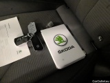  Skoda  ENYAQ  iV80 5d #12