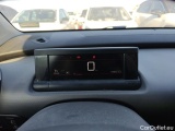 C4 Cactus