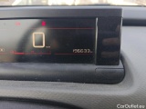 C4 Cactus