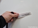  Fiat  Doblo FIAT DOBLÒ CARGO / 2014 / 4P / VETT. FURGONATA CH1 BUSINESS 1.3 MJET 95CV E6D SeS #31