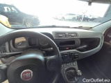  Fiat  Panda FIAT  / 2012 / 5P / BERLINA 1.2 69 CV VAN 2 POSTI EURO6 POP #165