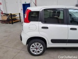  Fiat  Panda FIAT  / 2012 / 5P / BERLINA 900CC 85CV VAN EU6D 4X4 2P.POP #48