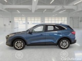  Ford  Kuga FORD  / 2019 / 5P / SUV 1.5 ECOBLUE 120CV 2WD TITANIUM BUS. AUTO #8