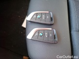 Bmw  Serie 3 2.0 320E BUSINESS DESIGN HYBRID TOUR A #6
