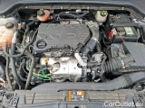  Ford  Focus 1.5 ECOBLUE 120 S/S TREND BUSINESS #43