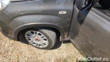  Fiat  Panda 1.0 FireFly 70cv S&S Hybrid #14