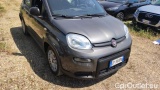  Fiat  Panda 1.0 FireFly 70cv S&S Hybrid #2