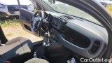  Fiat  Panda 1.0 FireFly 70cv S&S Hybrid #7