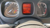  Fiat  Panda 1.0 FireFly 70cv S&S Hybrid #13