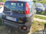  Fiat  Panda 1.0 FireFly 70cv S&S Hybrid #4