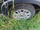  Fiat  Panda 1.0 FireFly 70cv S&S Hybrid #14