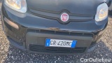  Fiat  Panda 1.0 FireFly 70cv S&S Hybrid #21