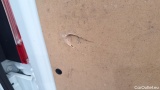  Ford  Transit  Custom Kasten 300 L1 Trend 2.0 TDCi 96KW MT6 E6dT #16