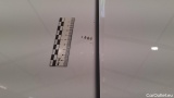  Ford  Transit  Custom Kasten 300 L1 Trend 2.0 TDCi 96KW MT6 E6dT #19