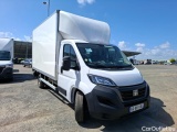 Ducato