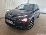 C4 Cactus
