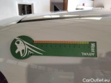  Fiat  Panda FIAT  1.2 69CV POP #61