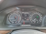  Skoda  KAMIQ -SUV (NW4) (2019)  1.5TSI 110 Scoutline AT #18