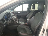  Ford  Kuga  ST-Line X 1.5 EcoBlue 120CV BVA8 E6dT #8