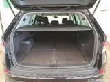  Skoda  Kodiaq  Business 2.0 TDI 150CV BVA7 E6d #10