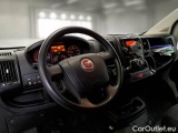 Ducato